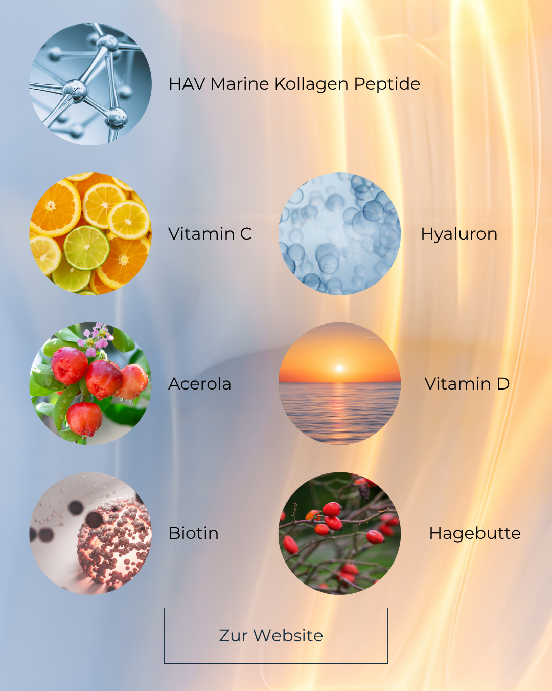 HAV Collagen Mixed Bundle